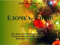 Проектная деятельность в школе Елочка, живи!