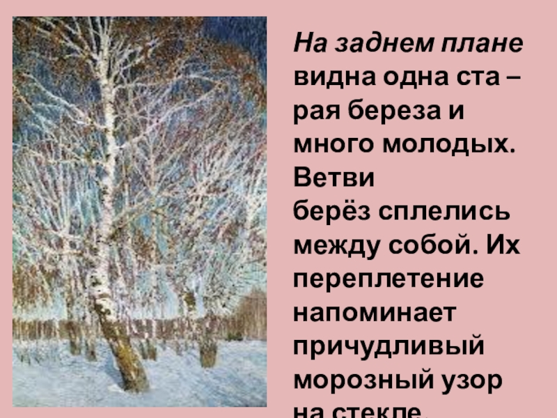 На заднем плане видна одна ста –рая береза и много молодых. Ветви берёз сплелись между собой. Их