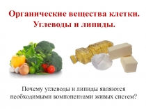Презентация Углеводы и липиды