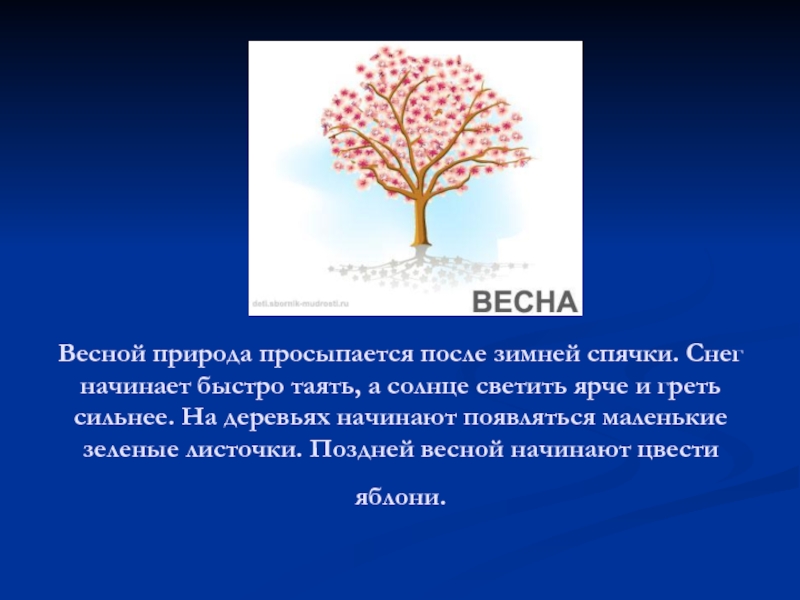 Схема предложения солнце светило ярко и снег быстро растаял