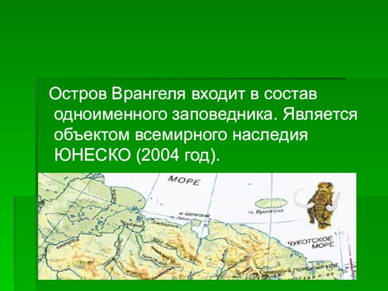 Презентация о заповеднике остров врангеля