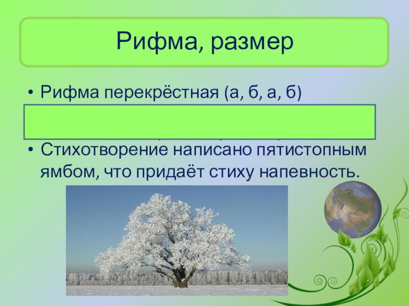 Анализ стихотворения учись у них дуба. Перекрестная рифмовка в стихотворении. Стихотворение с перекрестной рифмой. Перекрестная рифма. Учись у них у дуба у березы стихотворный размер.