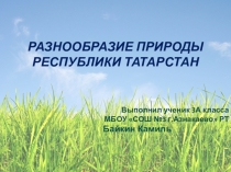 Проект по окружающему миру Разнообразие природы Республики Татарстан (3 класс)