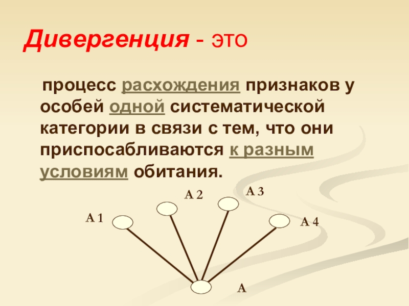 Процесс расхождения. Дивергенция признаков. Дивергенция расхождение признаков. Дивергенция это в языкознании. Дивергенция скорости.