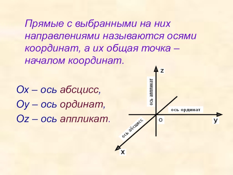 Аппликата. Ось ординат и ось абсцисс аппликат. Ось аппликат. Направление оси координат. Прямые с выбранными на них направлениями называются.