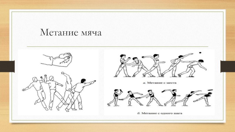 Техника метания мяча. Техника метания мяча 150 гра. Техника метания мяча в легкой атлетике. Схема метания мяча. Техника метания мяча рисунок.