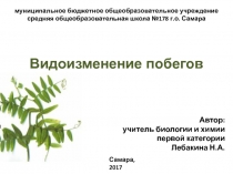 Презентация по биологии на тему Видоизменение побегов