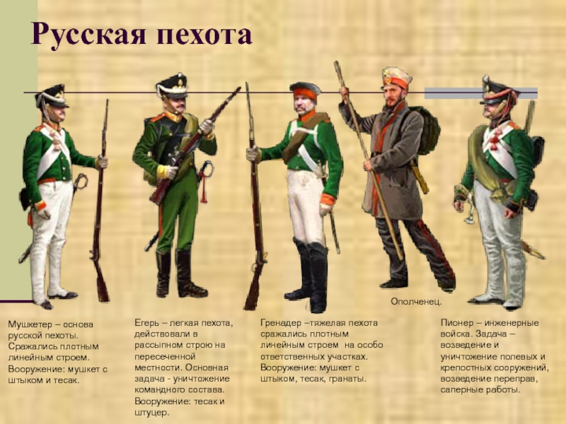 Солдаты 1812 года картинки