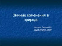 Презентация по окружающему миру на тему Зимние изменения в природе