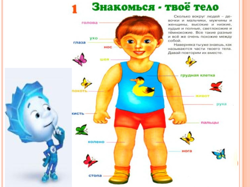 Проект твое тело