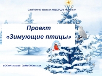 Зимующие птицы младшая группа