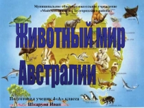 Презентация по окружающему миру Животный мир Австралии