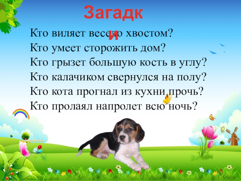 Собаки 1 класс литературное чтение презентация. Петух и собака 1 класс литературное чтение. Петух и собака план 1 класс литературное чтение. Петух и собака презентация 1 класс литературное чтение презентация. План к сказке петух и собака 1 класс литературное чтение.