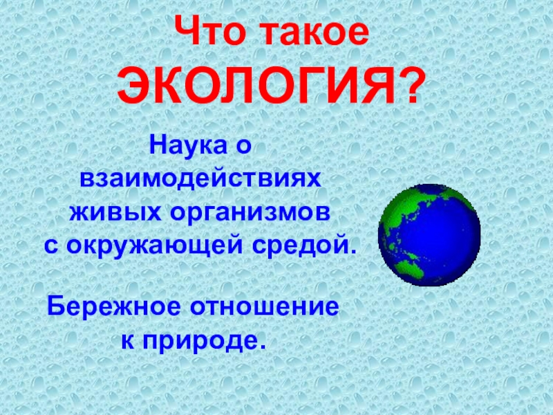 Что такое экология презентация