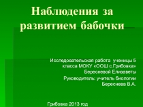 Исследовательская работа Наблюдения за развитием бабочки