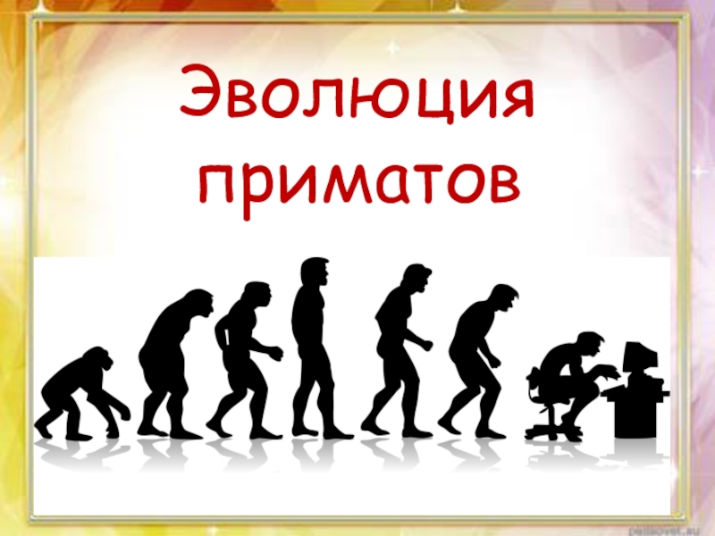 Тест по теме развитие человека. Эволюция. Эволюция 9 класс. Эволюция приматов. Эволюция биология 9 класс.
