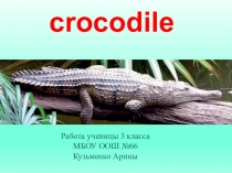 Презентация по английскому языку в 3 классе на тему Животный мир Австралии. Крокодилы