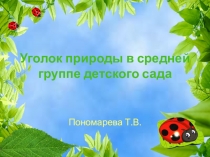 Презентация Уголок природы в средней группе