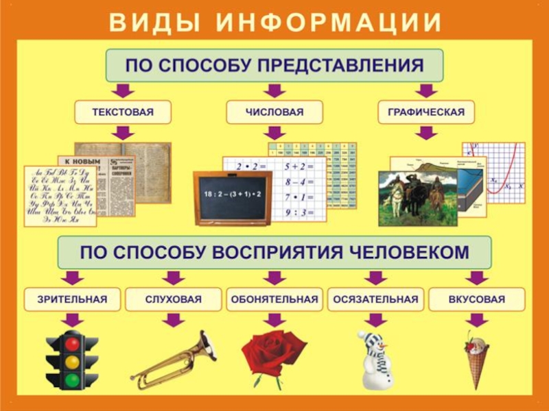 Презентация на тему наглядности