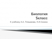 Урок биологии в 5 классе на тему Голосеменные