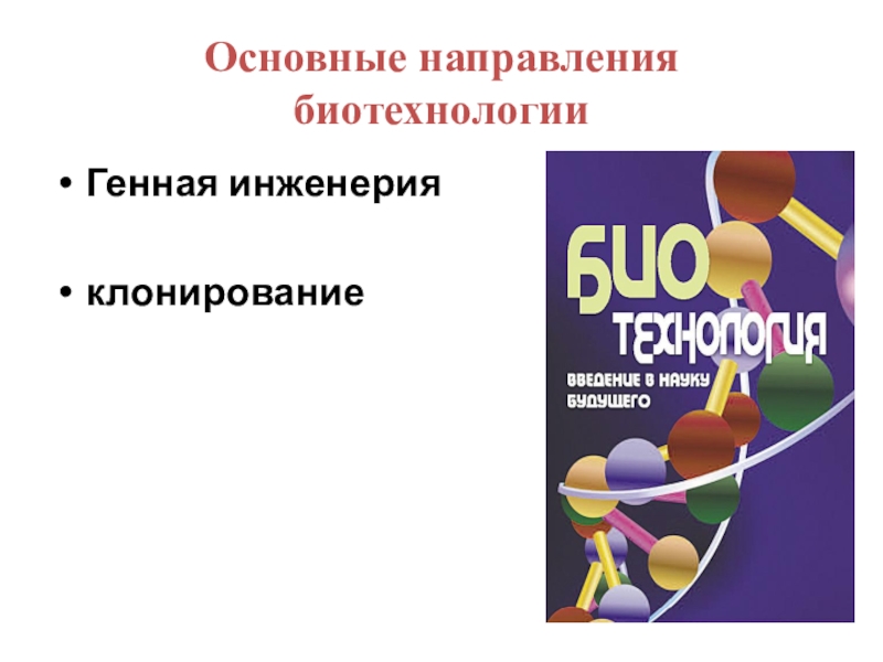 Презентация на тему биотехнологии по биологии 10 класс