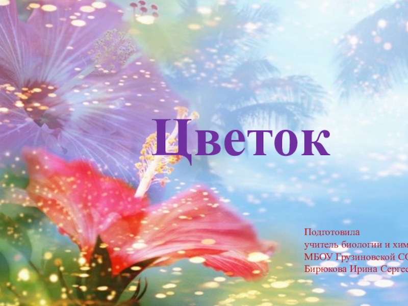 Презентация по биологии для 6 класса Цветок