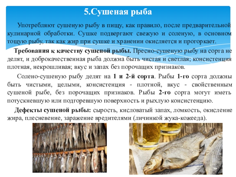 Презентация на тему соленая рыба