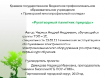 Презентация к экологическому проекту Рукотворный памятник природы