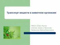 Презентация к уроку по биологии для 6 класса Транспорт веществ в организме животных