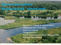 Презентация - проект по окружающему миру Моя страна, моя Россия (4класс)