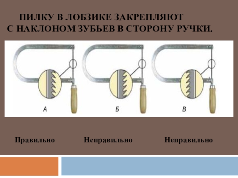 Какое направление имеет наклон зубьев пилки лобзика. Как наклонены зубья пилки лобзика. В какую сторону должен быть направлен наклон зубьев пилки в лобзике?. Как вставить пилку в ручной лобзик.