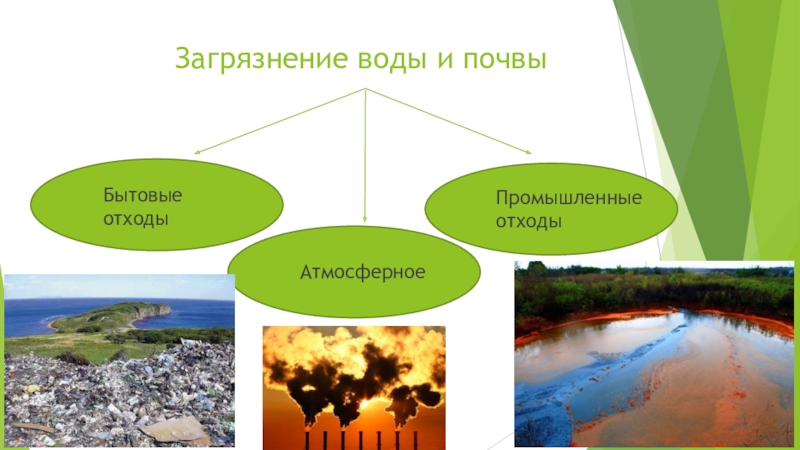 Презентация воздействие человека на природу 8 класс география презентация