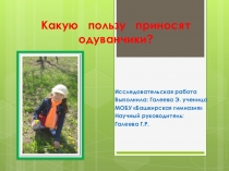 Презентация исследовательской работы Какую пользу приносят одуванчики?