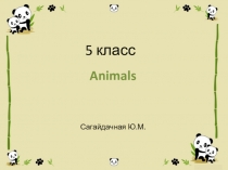 Презентация по английскому языку на тему Animals