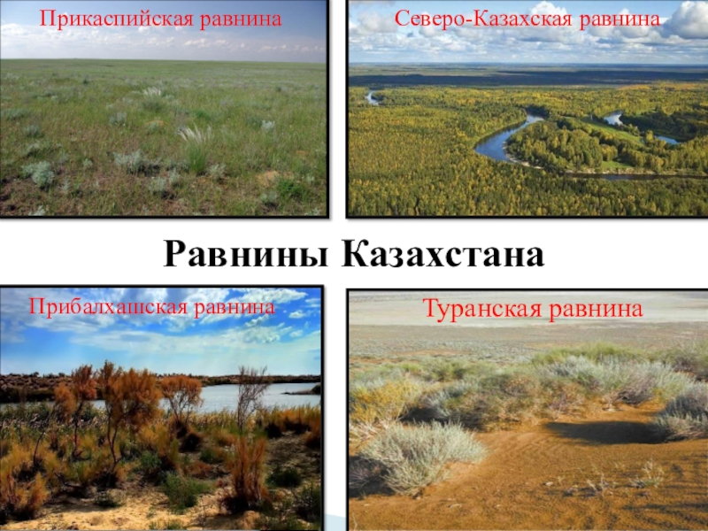 Туранская равнина на карте. Северо казахская равнина. Прикаспийская низменность. Название равнины с Казахстаном. Прибалхашская равнина.