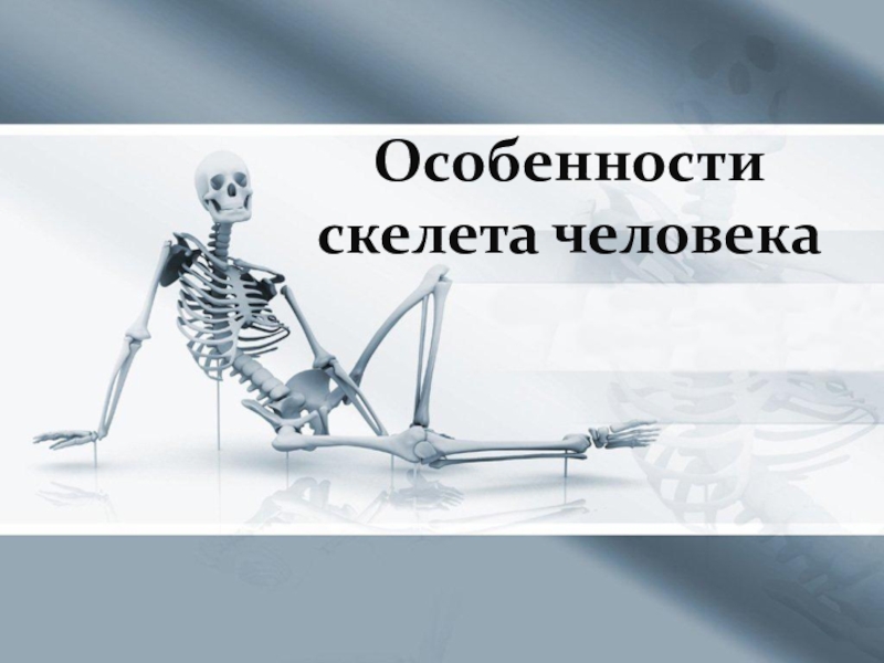 Презентация Презентация по биологии на тему Особенности скелета человека
