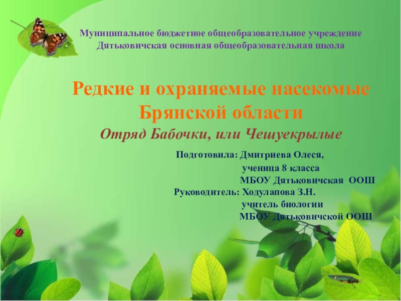 Презентация Презентация по биологии редкие насекомые Брянской области