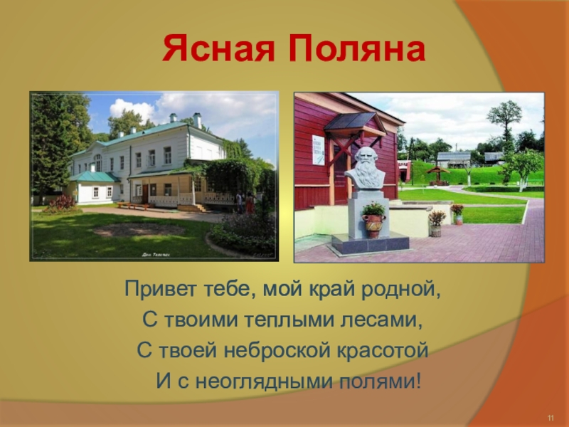 Тульский край презентация