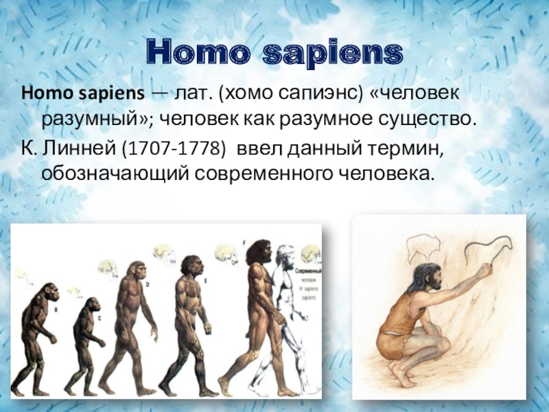 Homo sapiens книга