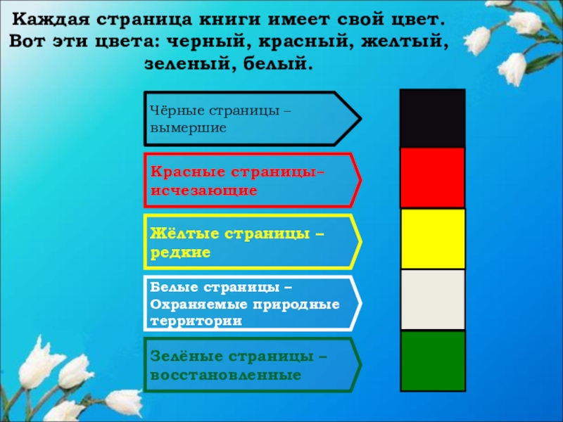 Какого цвета страницы. Цветные страницы красной книги. Цвета страниц красной книги. Страницы красной книги по цветам. Разноцветные страницы красной книги.