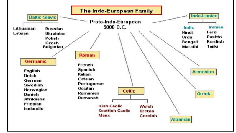 Indo grup. Indo European languages. Indo European language Family Tree. Proto Indo European. Types of Indo European languages.