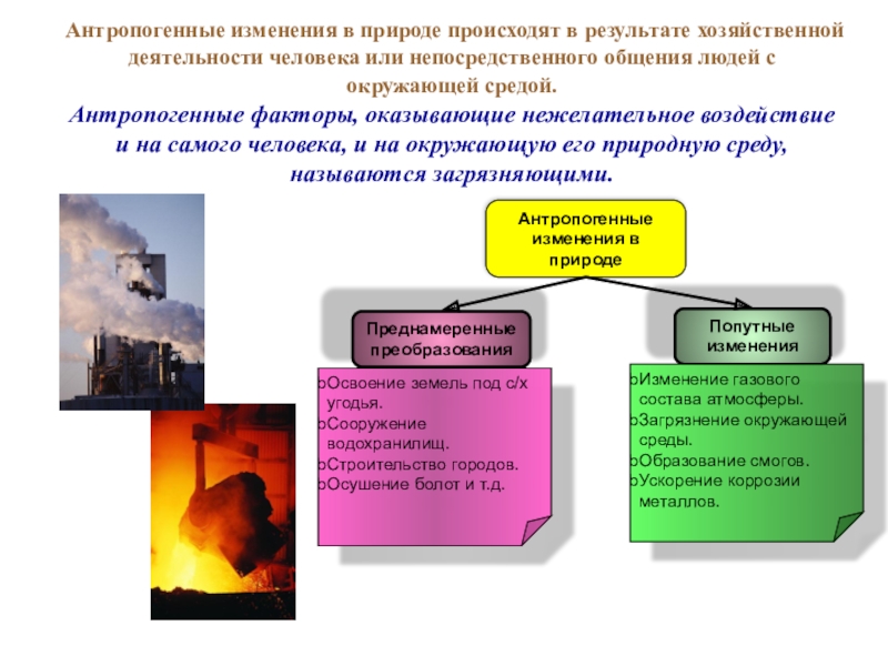 Изменения по газу. Антропогенные изменения. Антропогенные изменения в природе это. Антропогенные изменения в природе преднамеренные и попутные. Что такое антропогенные изменения в природе попутные.