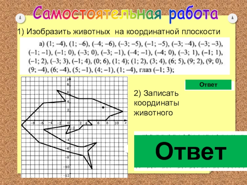 Самостоятельная работа по теме координаты 6 класс рисуем по координатам вариант 2 собака