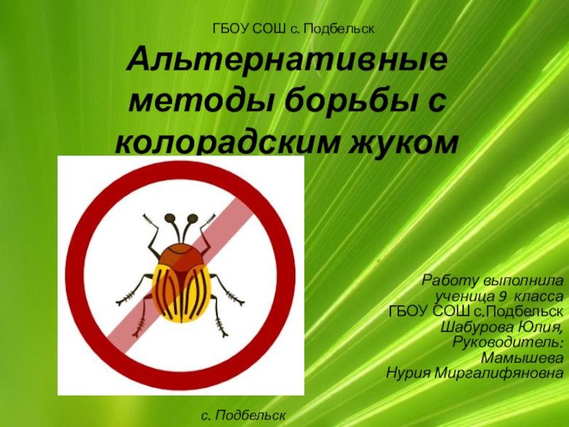 Презентация Научно-исследовательская работа по биологии Альтернативные методы борьбы с колорадским жуком