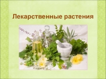 Презентация к уроку окружающего мира