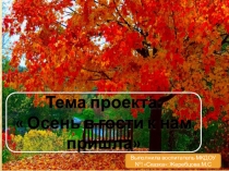 Сделана проект в форме презентации.