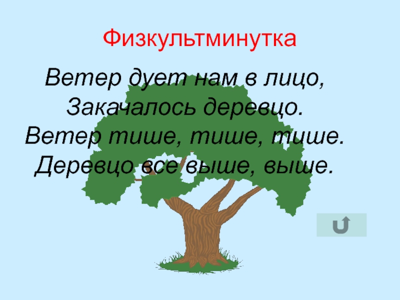 Физминутка деревце. Физминутка ветер дует нам в лицо. Физкультминутка деревцо. Ветер дует нам в лицо закачалось деревцо физминутка. Ветер дует нам в лицо закачалось.