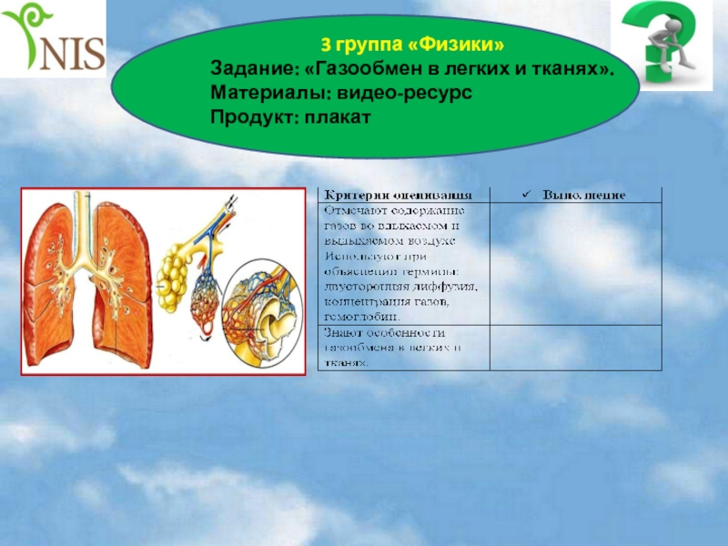 Выполняет функцию газообмена. Газообмен в легких. Газообмен в тканях. Газообмен в лёгких и тканях. Схема газообмена в легких и тканях.