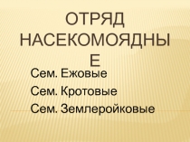 Презентация по биологии на тему Отряд Насекомоядные