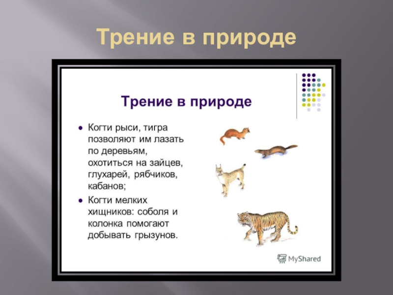 Трение в быту и технике. Трение в природе. Трение в природе и технике. Сила трения в природе и технике. Роль трения в природе.